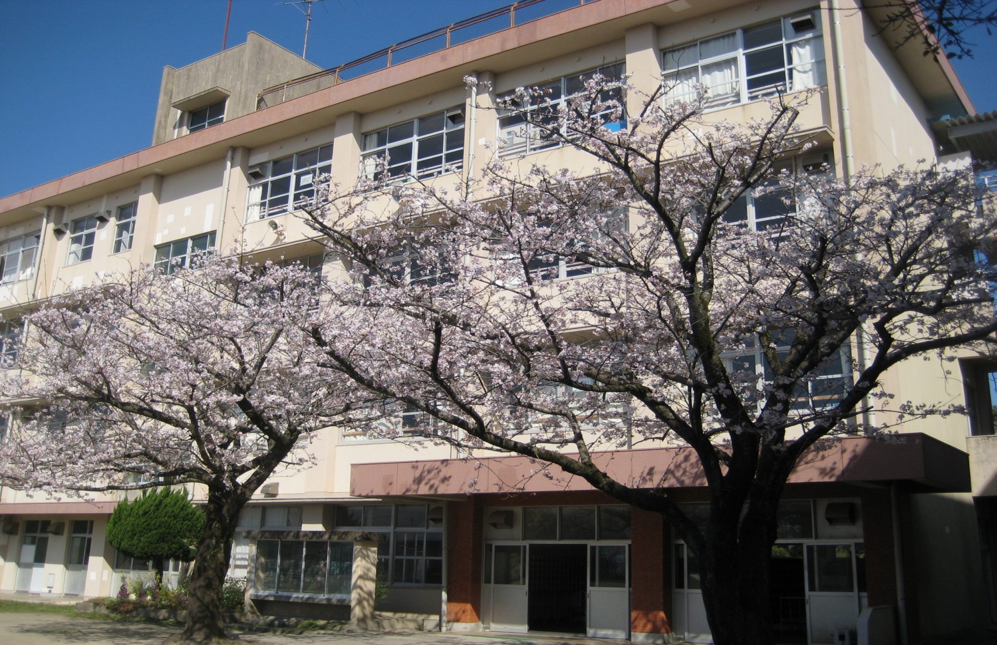 鹿児島市立桜丘中学校